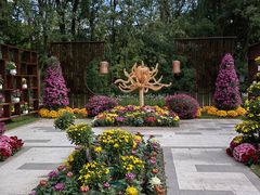 -上海共青森林公园