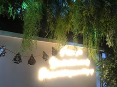 -Husky Go! 哈士奇体验馆·宠物咖啡厅狗咖