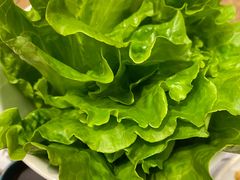 -额尔敦牛厨师铜板烧