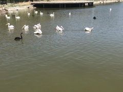 -新疆天山野生动物园