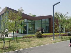 -上海滨江森林公园