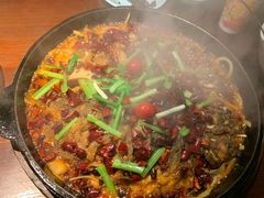 -老板恋上鱼(高新万达店)