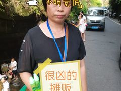 -芦沟竹海