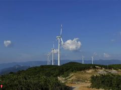 -武陵山森林公园