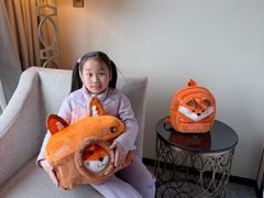 -上海嘉定喜来登酒店