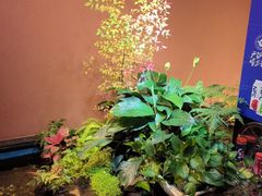 -隐炉和牛烧肉店(群力店)