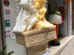 -柠檬车露(卖草地店)