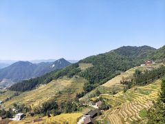 -紫鹊界梯田景区