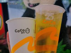 茉莉绿茶-CoCo都可(卓展店)