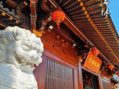 -广富林郊野公园