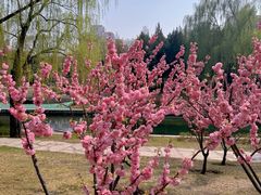 -元大都城垣遗址公园