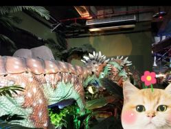 -恐龙探索乐园(磁器口店)