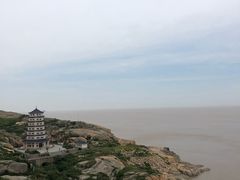 -洋山深水港