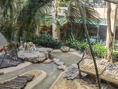 -麒麟中餐厅·经典粤菜·地道菜式老字号(广州长隆酒店)