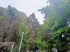 -成都老君山