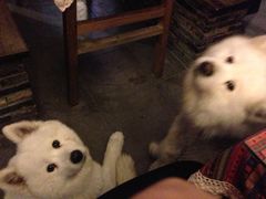 大堂-西塘明榉坊客栈