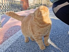 -长辛店二七公园