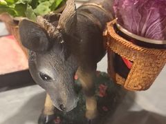 -慢丽江·云南野生菌土鸡锅(付家庄店)