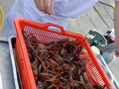-丽华园(青少年宫店)