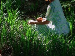 -白鹭湾湿地公园