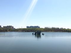 -大兴滨河森林公园