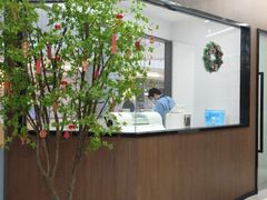 -天使口腔门诊部(上海店)