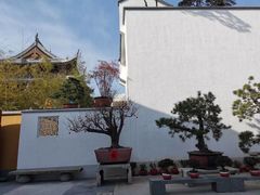 -龙华寺