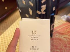-上海大酒店(南京东路店)