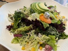 -连鹭海鲜·海肠捞饭·海胆饭(星海店)