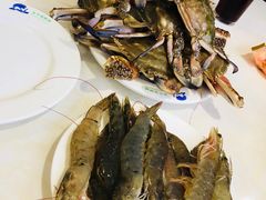 -春华海鲜城(广场西苑店)