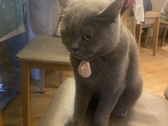 -春笙食堂.丼饭拉面寿司(GOGO新天地店)