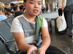 -谢列梅捷沃国际机场