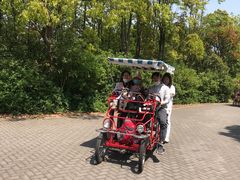 -上海长兴岛郊野公园