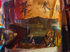 -凤吉园乌拉满族火锅中华老字号(繁荣路店)