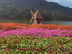 -广州市石门国家森林公园