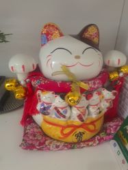 -木棉问题肌·肩颈·纹绣