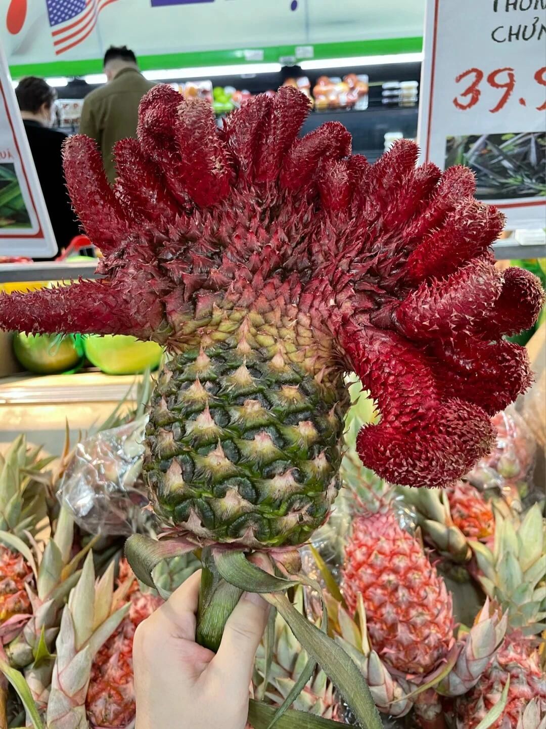 在国外超市买奇奇怪怪的水果,纯纯大冤种