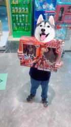 -苏宁红孩子(F6漫时区店)