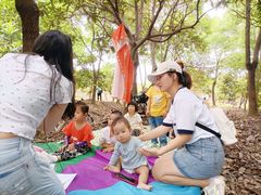 -塘栖枇杷特色园区