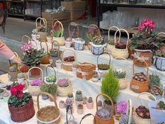 -循礼门鲜花花市(武汉循礼门店)