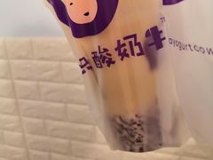 -一只酸奶牛(八一路店)
