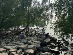 -宝安西湾红树林湿地公园