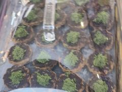 -祥禾饽饽铺·中式糕点(北京来福士店)