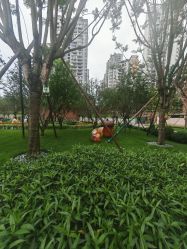 -重庆市妇幼保健院(冉家坝院区)