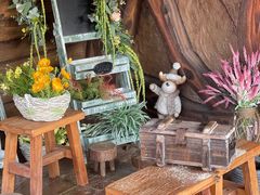 -珠海海泉湾神秘岛亲子乐园