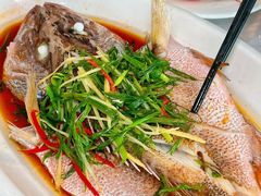 -众味海鲜大排档·活海鲜·潮汕味(南澳店)