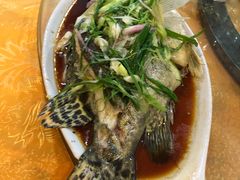 清蒸鱼-华兴餐厅·招牌生鱼片(桃园路店)