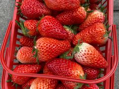 -松鹤楼·苏式汤面(虹桥天地店)