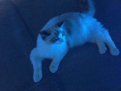 -零纪元VR体验馆·桌游(黄浦店)