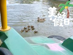 -团结湖公园